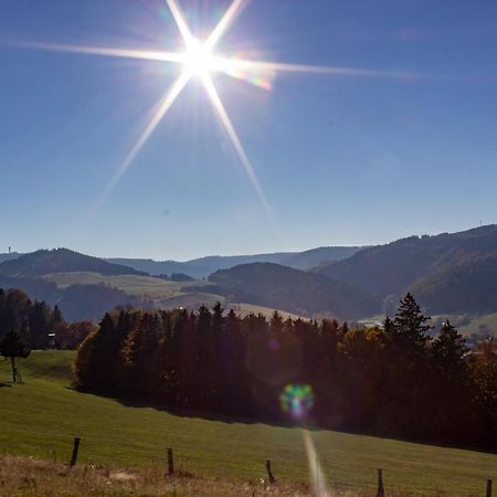 Ferienwohnung Emde Willingen  Buitenkant foto