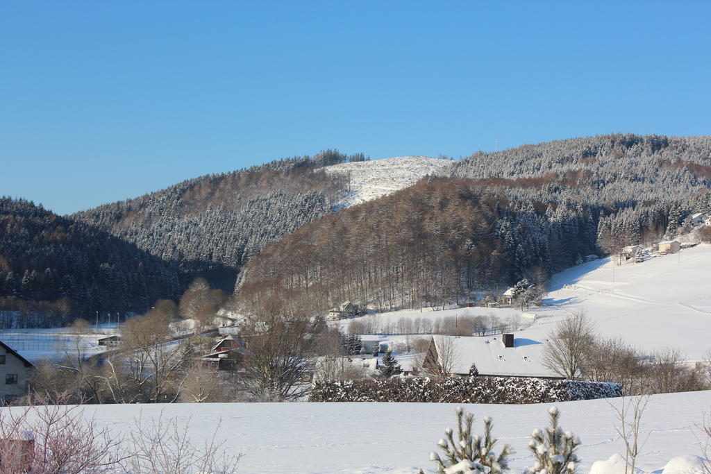 Ferienwohnung Emde Willingen  Buitenkant foto