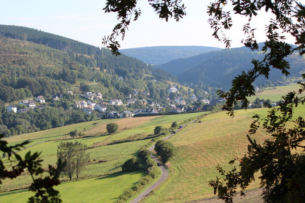 Ferienwohnung Emde Willingen  Buitenkant foto