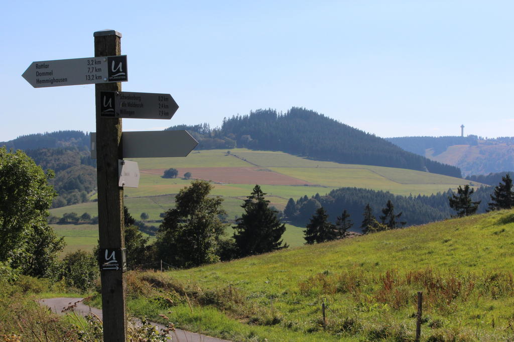 Ferienwohnung Emde Willingen  Buitenkant foto