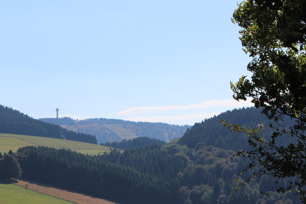 Ferienwohnung Emde Willingen  Buitenkant foto