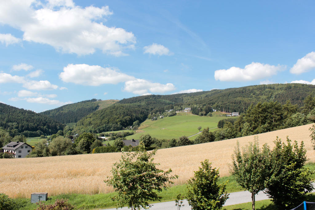 Ferienwohnung Emde Willingen  Buitenkant foto