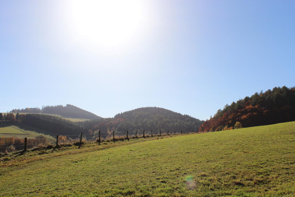 Ferienwohnung Emde Willingen  Buitenkant foto