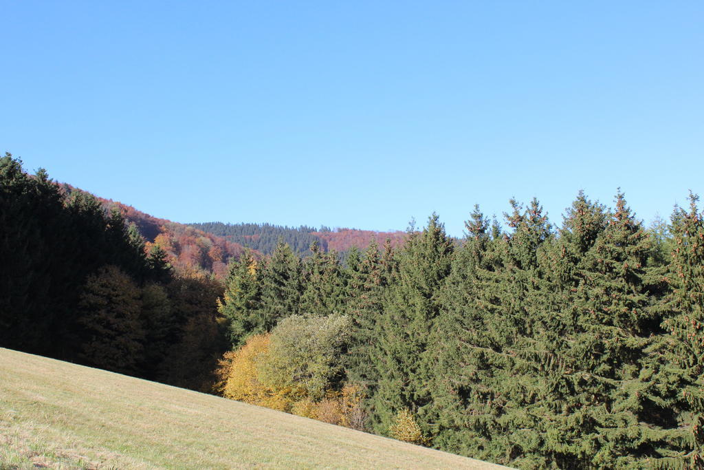 Ferienwohnung Emde Willingen  Buitenkant foto