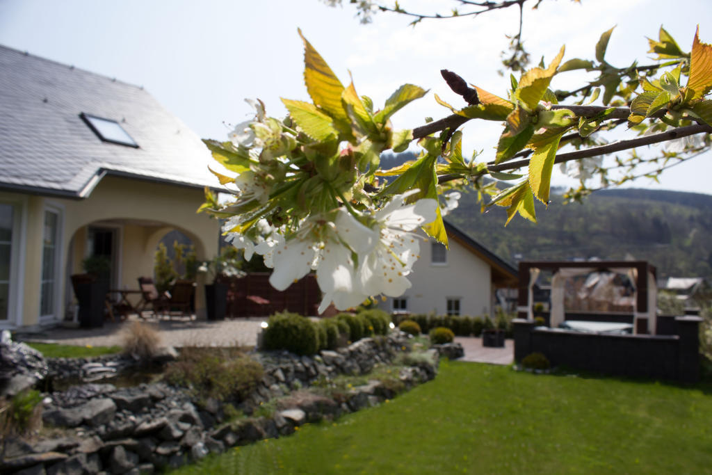 Ferienwohnung Emde Willingen  Buitenkant foto