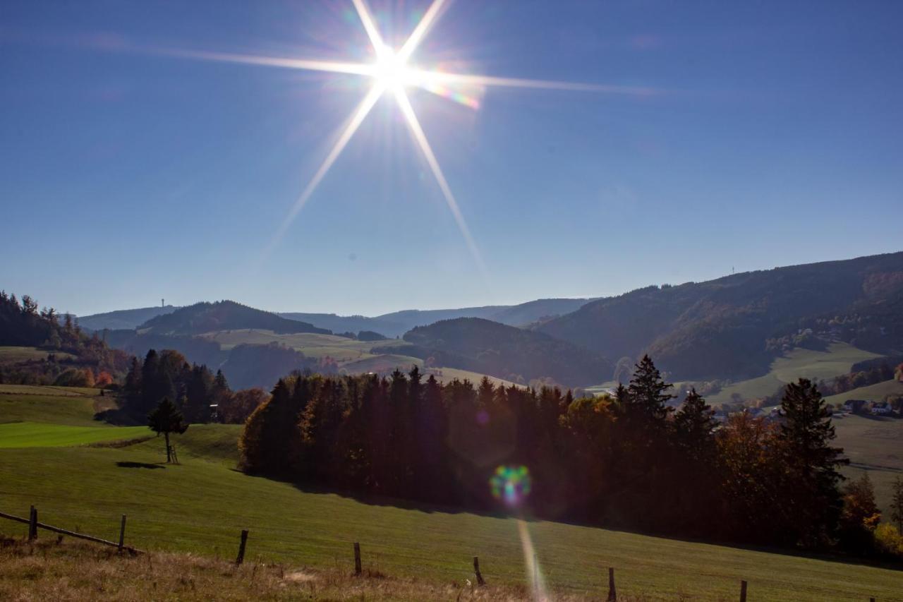 Ferienwohnung Emde Willingen  Buitenkant foto