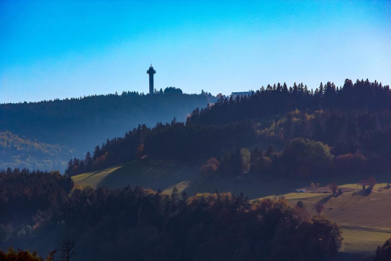 Ferienwohnung Emde Willingen  Buitenkant foto